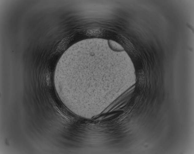 X0000097500408200803201557