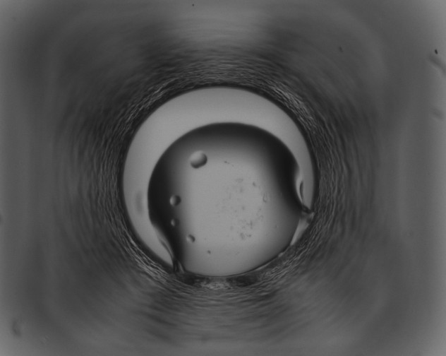 X0000097500409200803201557