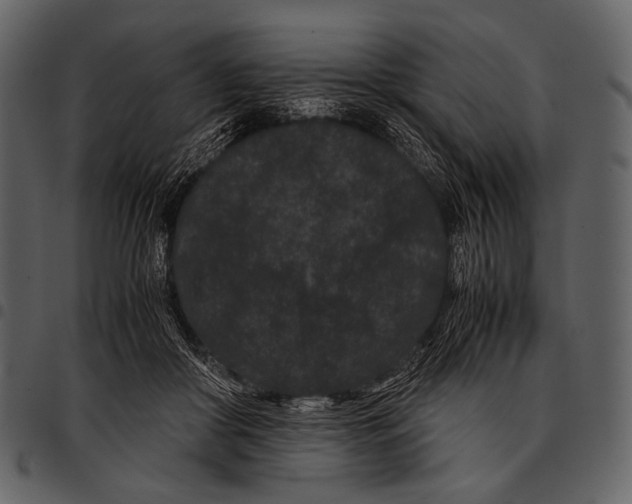 X0000097500410200803201557