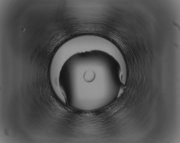 X0000097500411200803201557