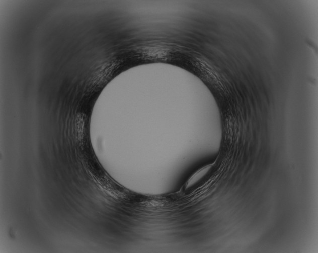 X0000097500412200803201556