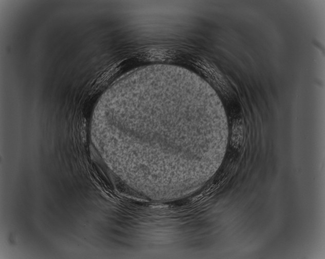 X0000097500413200803201556