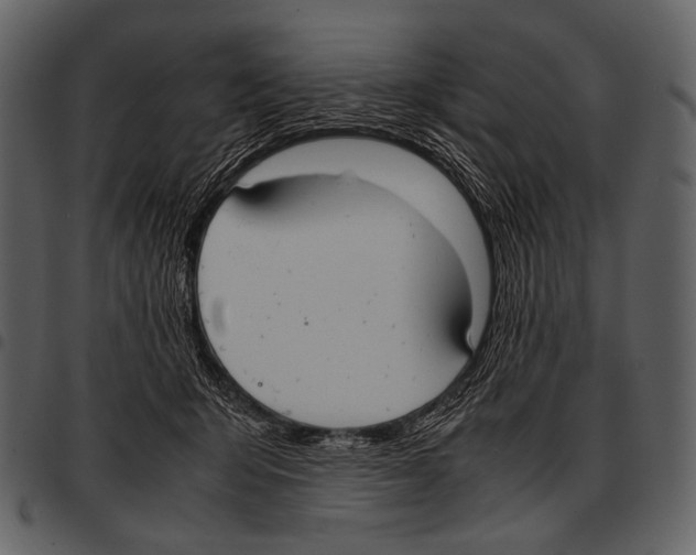 X0000097500415200803201556