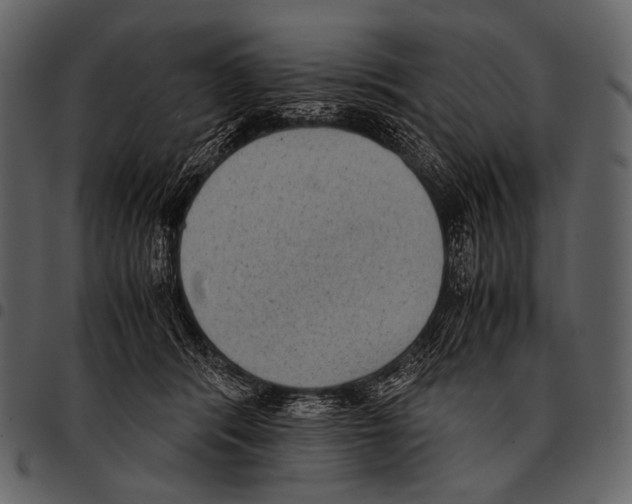 X0000097500416200803201556