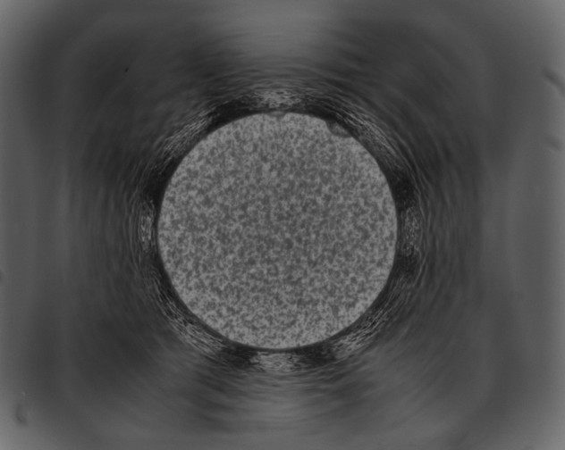 X0000097500417200803201556