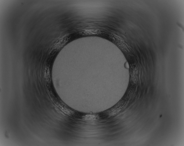 X0000097500418200803201556