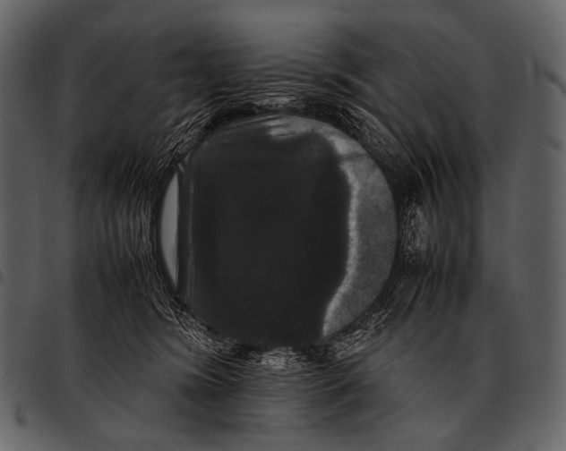 X0000097500420200803201556