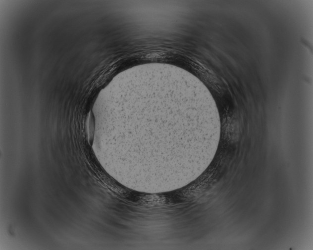 X0000097500421200803201556