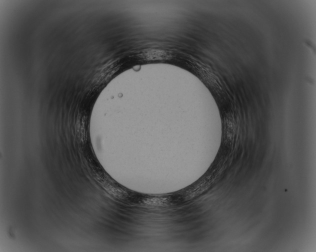 X0000097500422200803201556