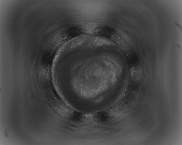X0000097500423200803201556