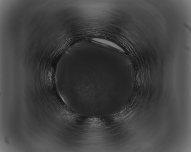 X0000097500424200803201556