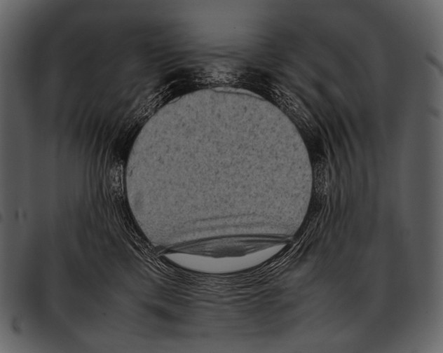 X0000097500425200803201556