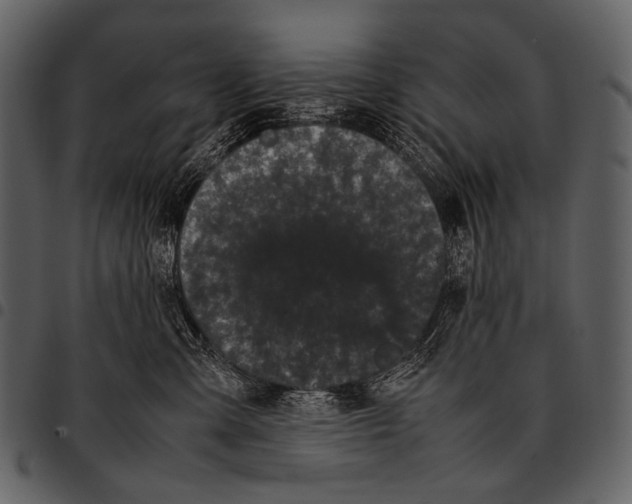X0000097500427200803201556