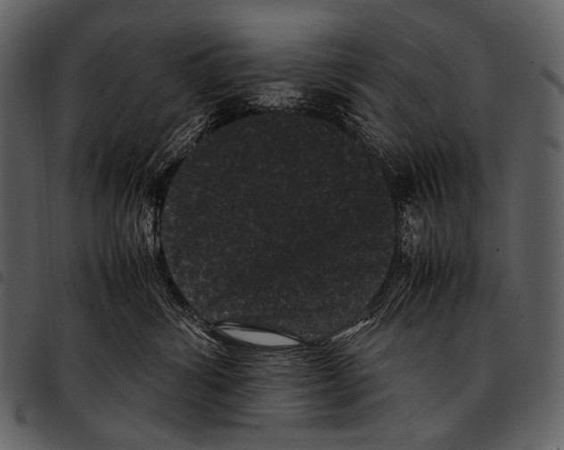 X0000097500428200803201556