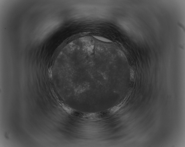 X0000097500431200803201556