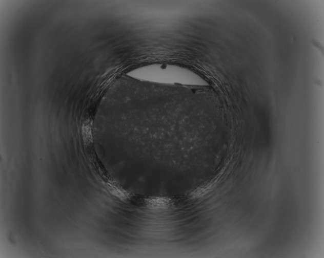 X0000097500432200803201556