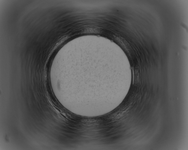 X0000097500435200803201556