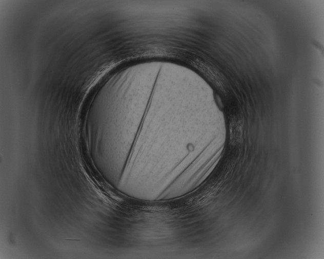 X0000097500436200803201556