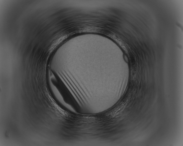 X0000097500437200803201556
