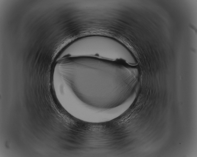 X0000097500438200803201556