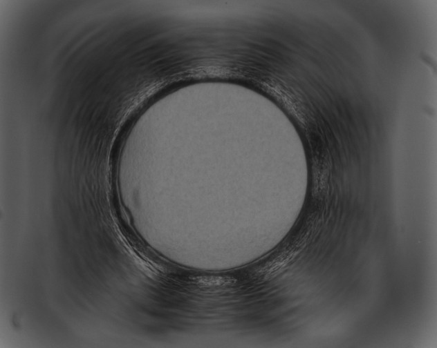 X0000097500439200803201556