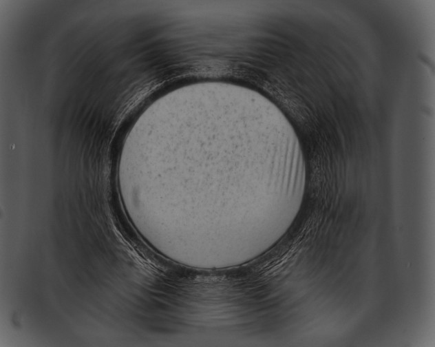 X0000097500440200803201556
