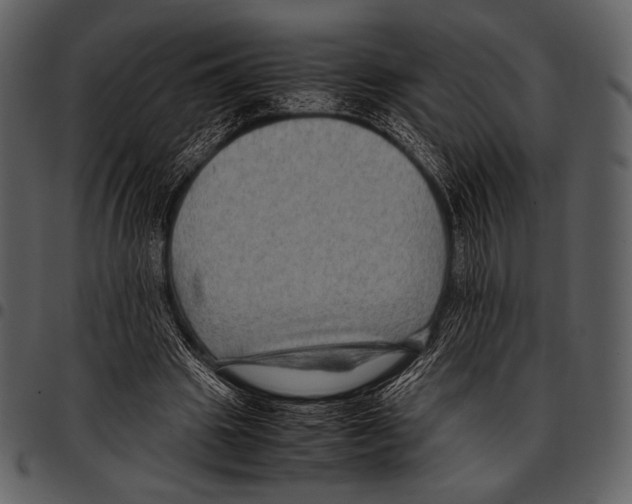 X0000097500441200803201556