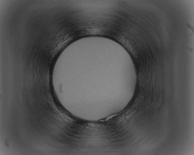 X0000097500442200803201556