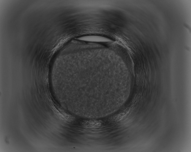 X0000097500443200803201556