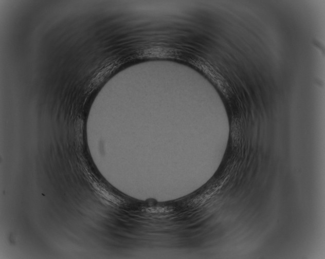 X0000097500445200803201556