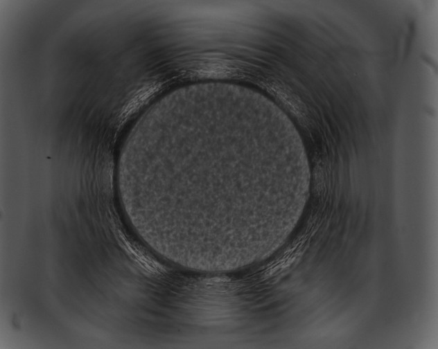 X0000097500446200803201556