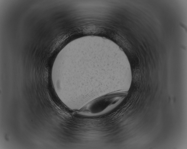X0000097500448200803201556