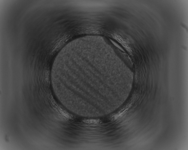 X0000097500449200803201556