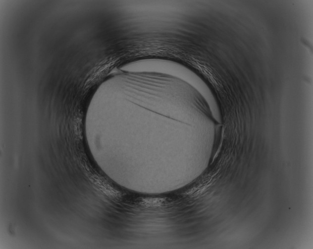X0000097500450200803201556