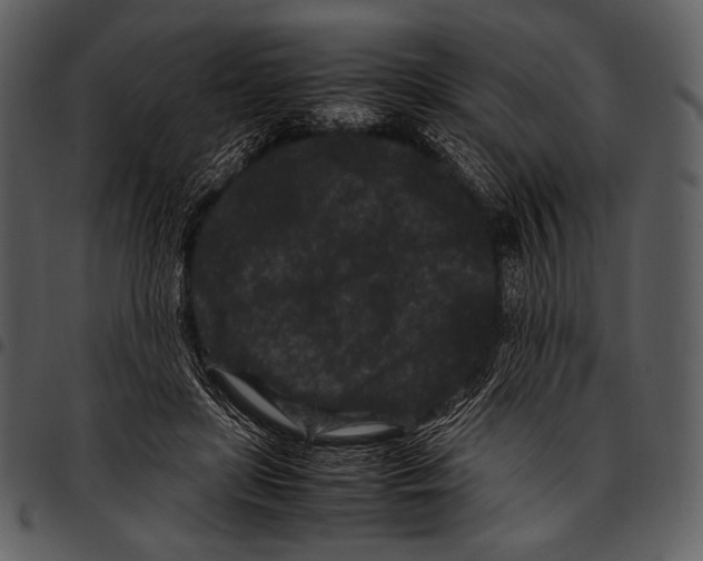 X0000097500451200803201556
