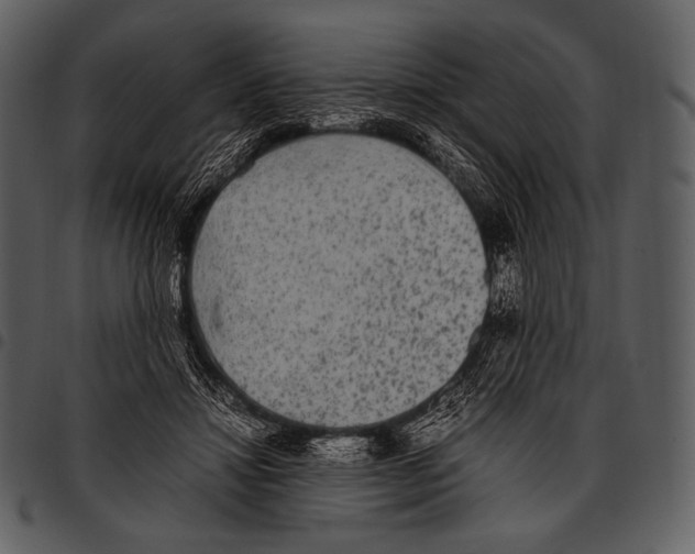 X0000097500452200803201556