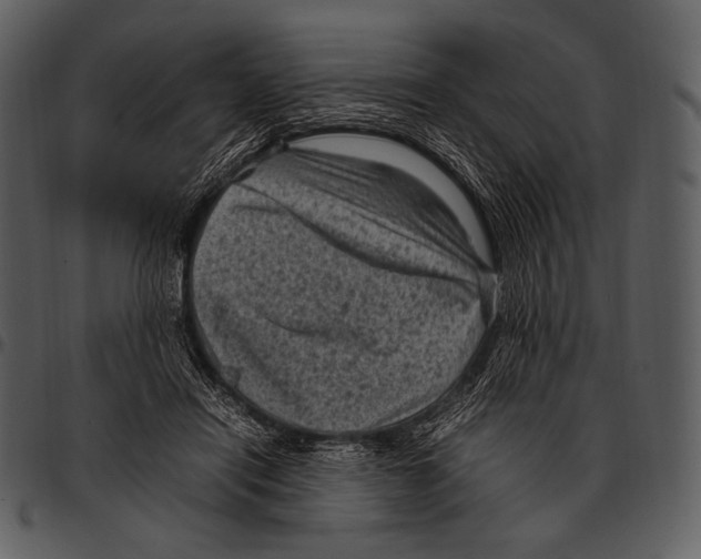 X0000097500454200803201556