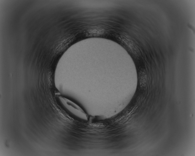 X0000097500455200803201556