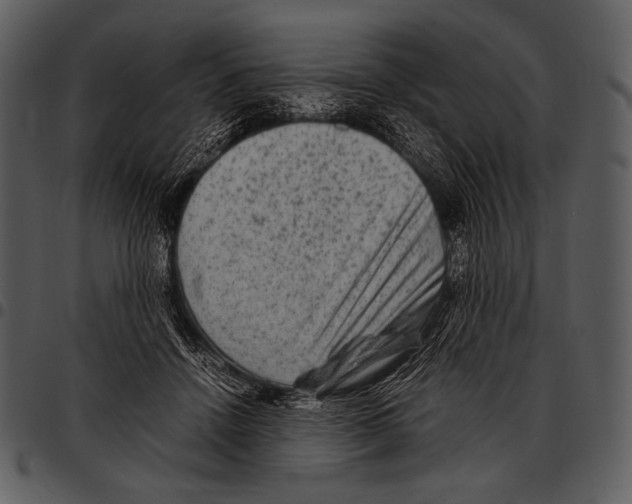 X0000097500456200803201556