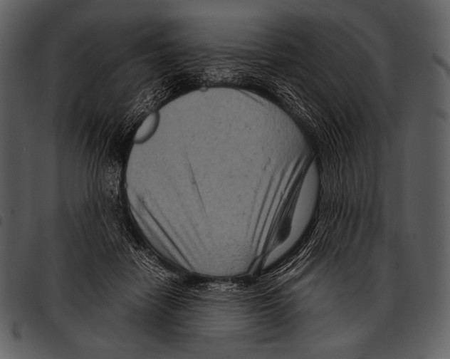 X0000097500458200803201556