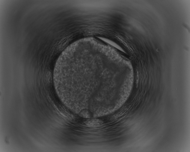 X0000097500459200803201556