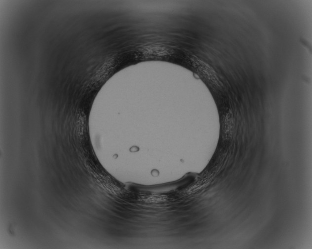 X0000097500463200803201556