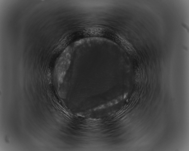 X0000097500465200803201556