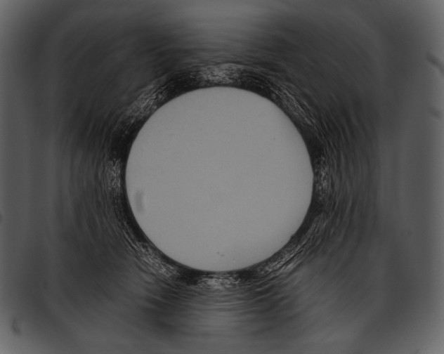 X0000097500466200803201556