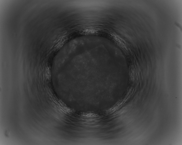X0000097500467200803201556