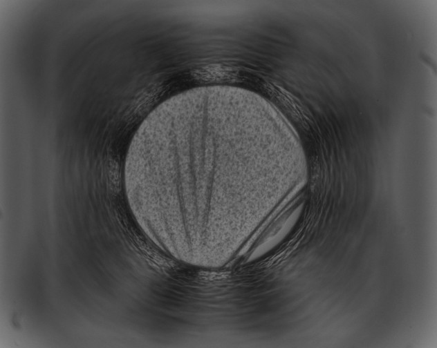 X0000097500469200803201556