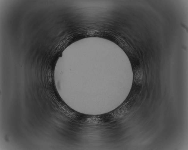 X0000097500470200803201556