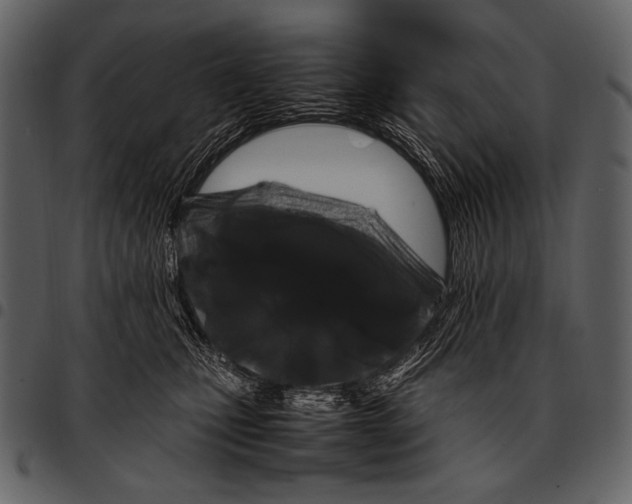 X0000097500471200803201556