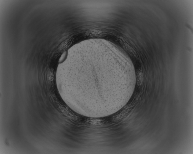 X0000097500472200803201556