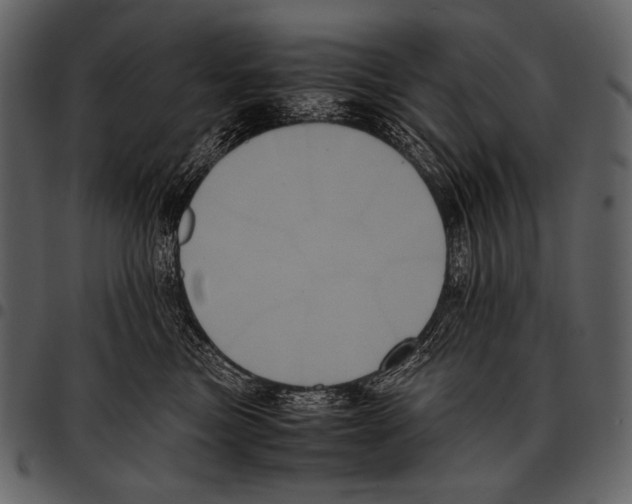 X0000097500473200803201556